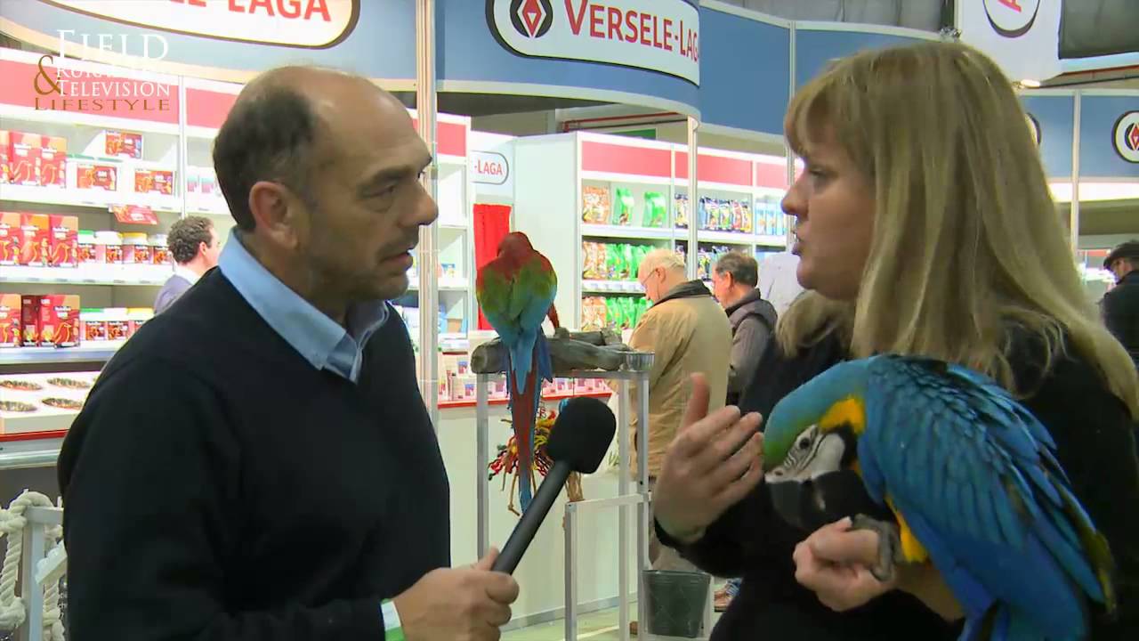 Parrot Behaviourist at the Gouden Ring Bird Show 2013