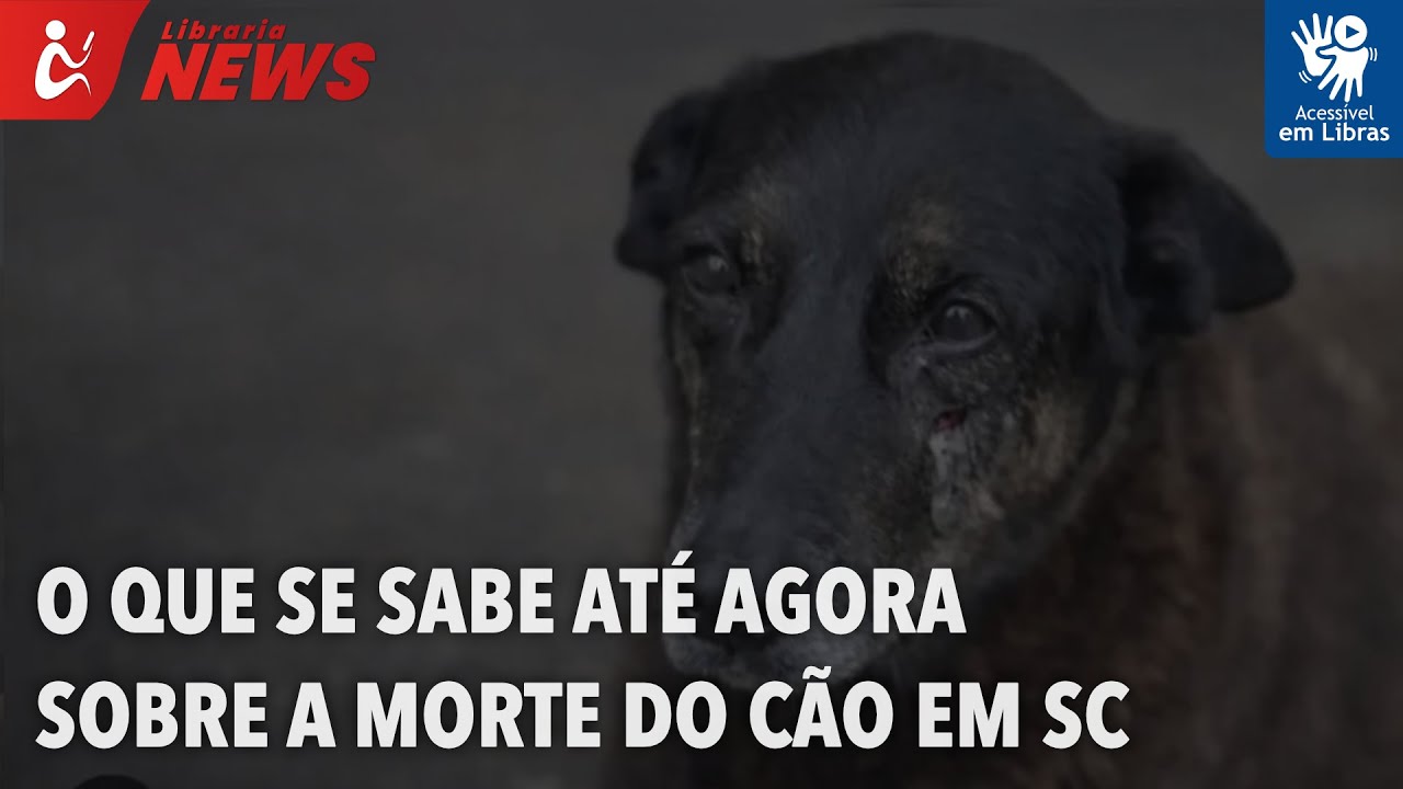 O que se sabe até agora sobre a morte do cão em SC (Libras)