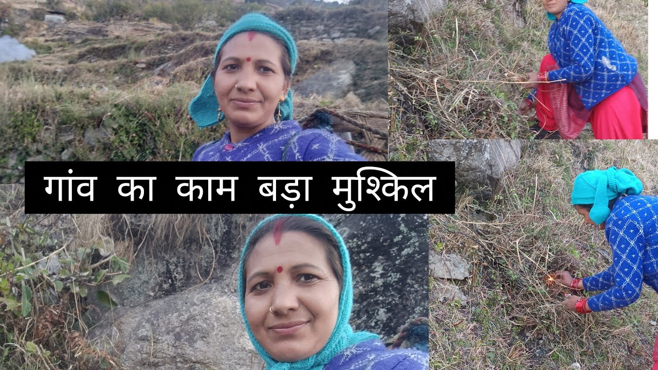 पहाड़ी लाइफ में काम करना बहुत मुश्किल है जितना भी कम करो कभी पूरा नहीं होता🙏👍