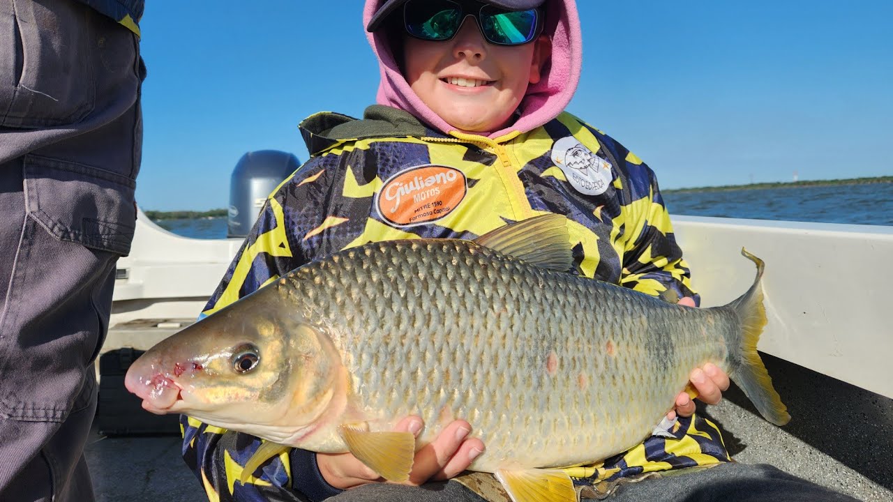 Línea para pescar Bogas con 🦀 en el Río Paraná.