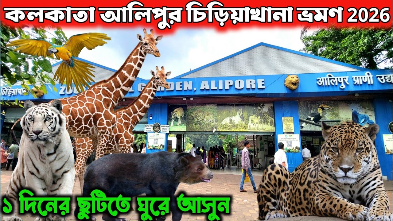 কলকাতা আলিপুড় চিড়িয়াখানা 2026 নতুন নিয়ম জানুন | Alipur Zoo In Kolkata | Zoological Garden Kolkata