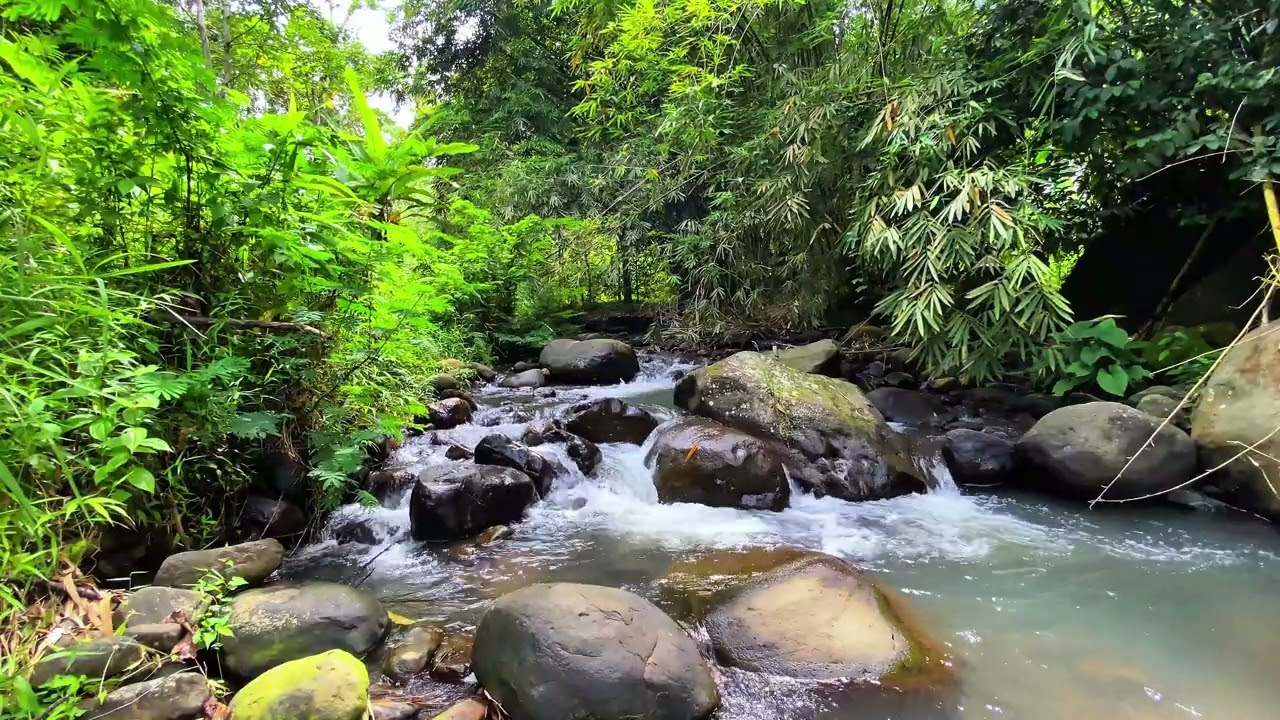 Calm Your Mind 🌿 Forest River Soundscape For Stress Relief And Night Sleep | 4K