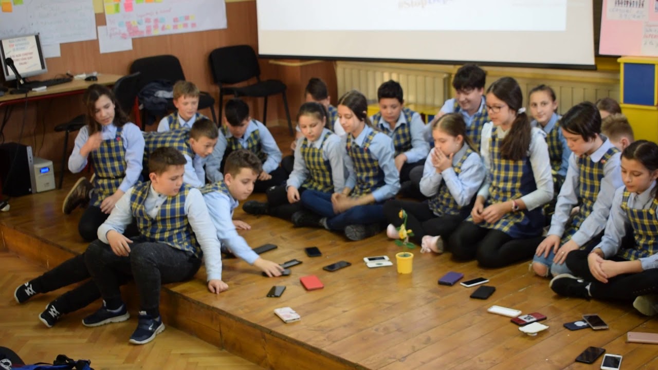DACA STAU PE NET