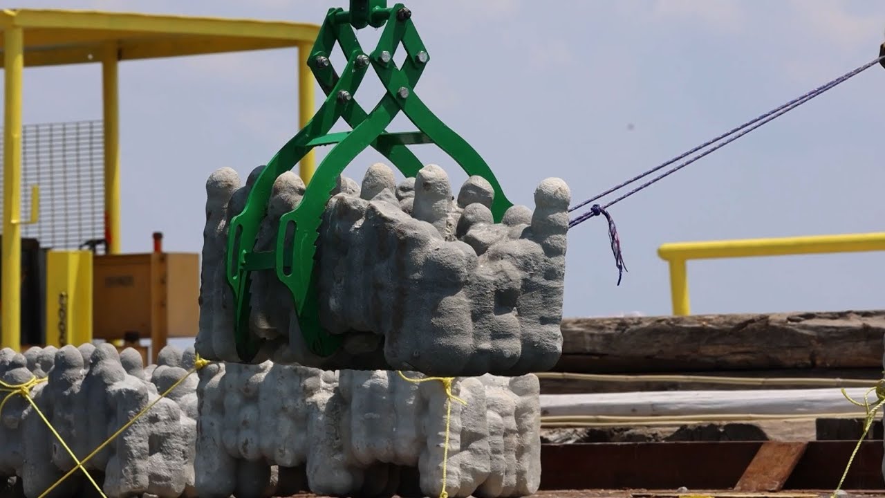 New Artificial Reef | LSWI Segments | 9/20/24
