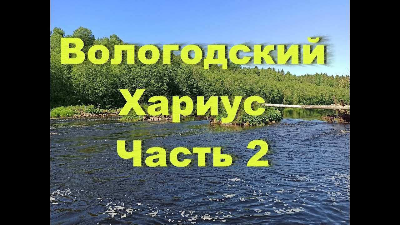 Вологодский Хариус Часть 2