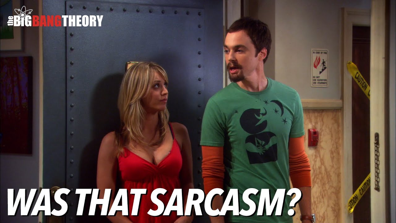 Was That Sarcasm? | The Big Bang Theory