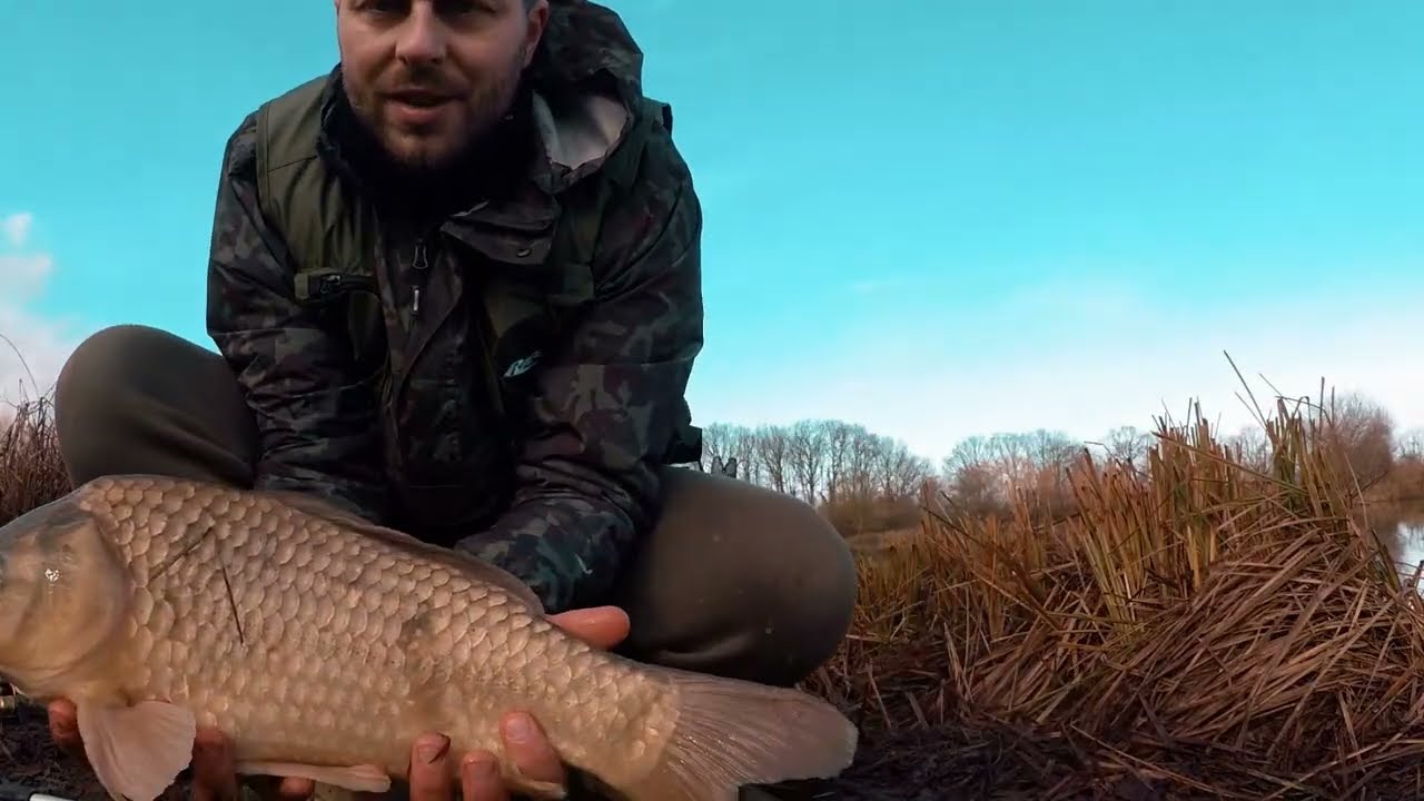 Carp Bites and Takes Off for a Run While I’m Not Looking… Classic 😂🎣