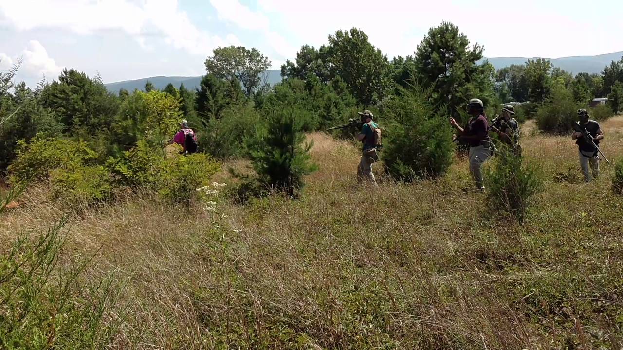 BBWars Field Work