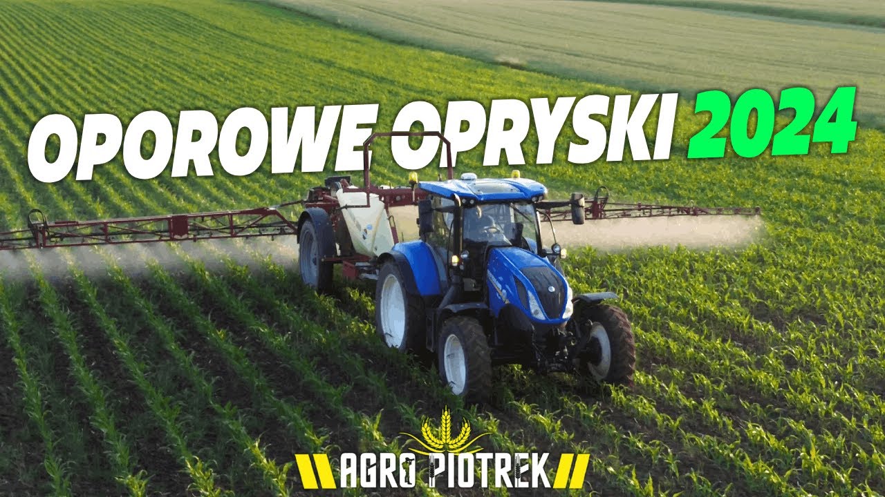 OPRYSKI KUKURYDZY 2024 ✔ New Holland T6.180✔ HARDI NAVIGATOR 3000☆ GR JUSZCZAK ☆
