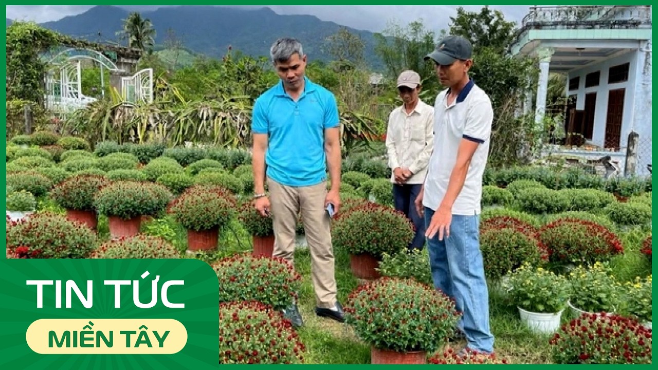 Bỏ phố về quê, chàng kỹ sư 