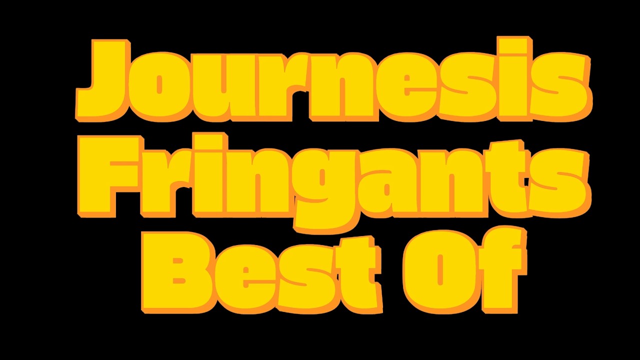 The Journesis Fringants - Best Of