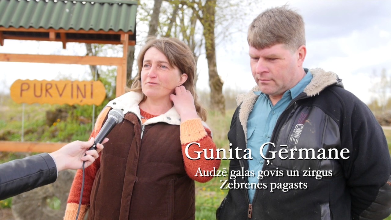 Jaunbērze, Zebrene, Dobeles pagasts - Saimniecības