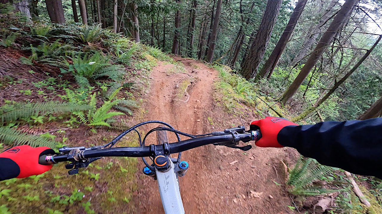 Mountain Bike Ride! Vol. 88 Vedder Mountain, Chilliwack. Fresh Lines & Good Times! (4K)