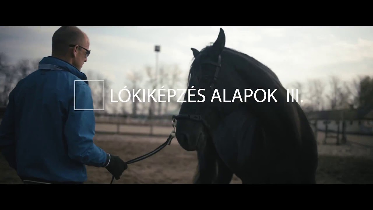 Lókiképzés alapok 3. - Munka kapicánon - Szirtes Bence