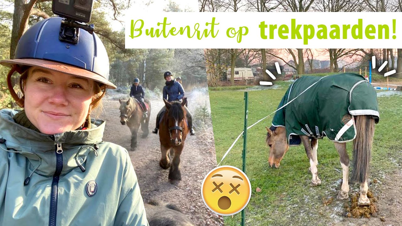 Op TREKPAARDEN rijden, eerste BOTOX behandeling en slaapkamer VERVEN! | felinehoi VLOGMAS #424
