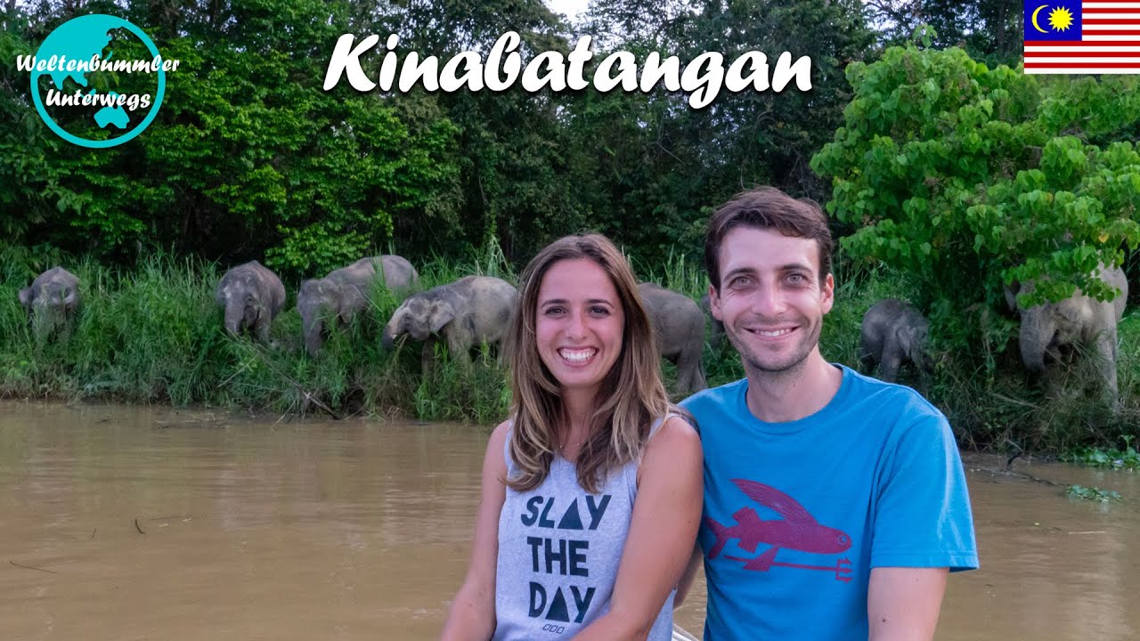 Kinabatangan River ∙ Die kleinsten Elefanten der Welt ∙ Fluss-Safari ∙ Borneo ∙ Weltreise Vlog #109