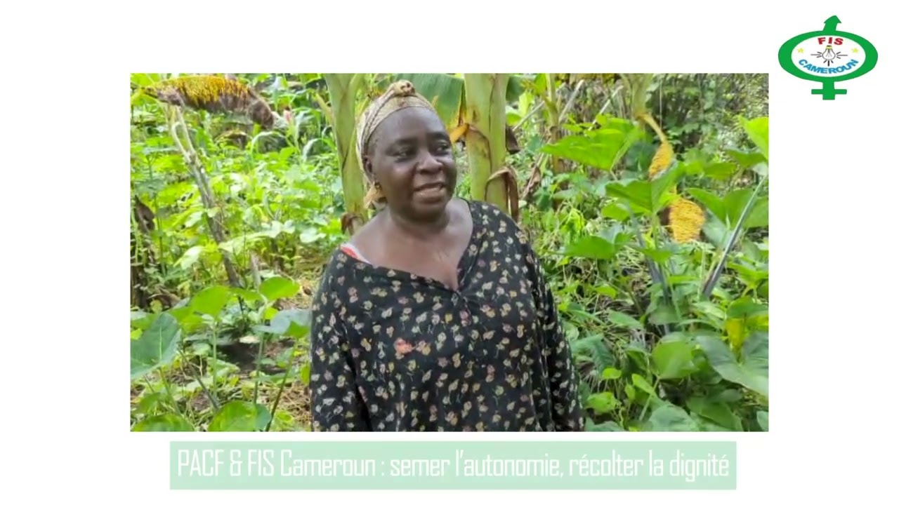 DOCUMENTAIRE FIS BIPINDI PACF ET FIS CAMEROUN : SEMER L'AUTONOMIE, RÉCOLTER LA DIGNITÉ