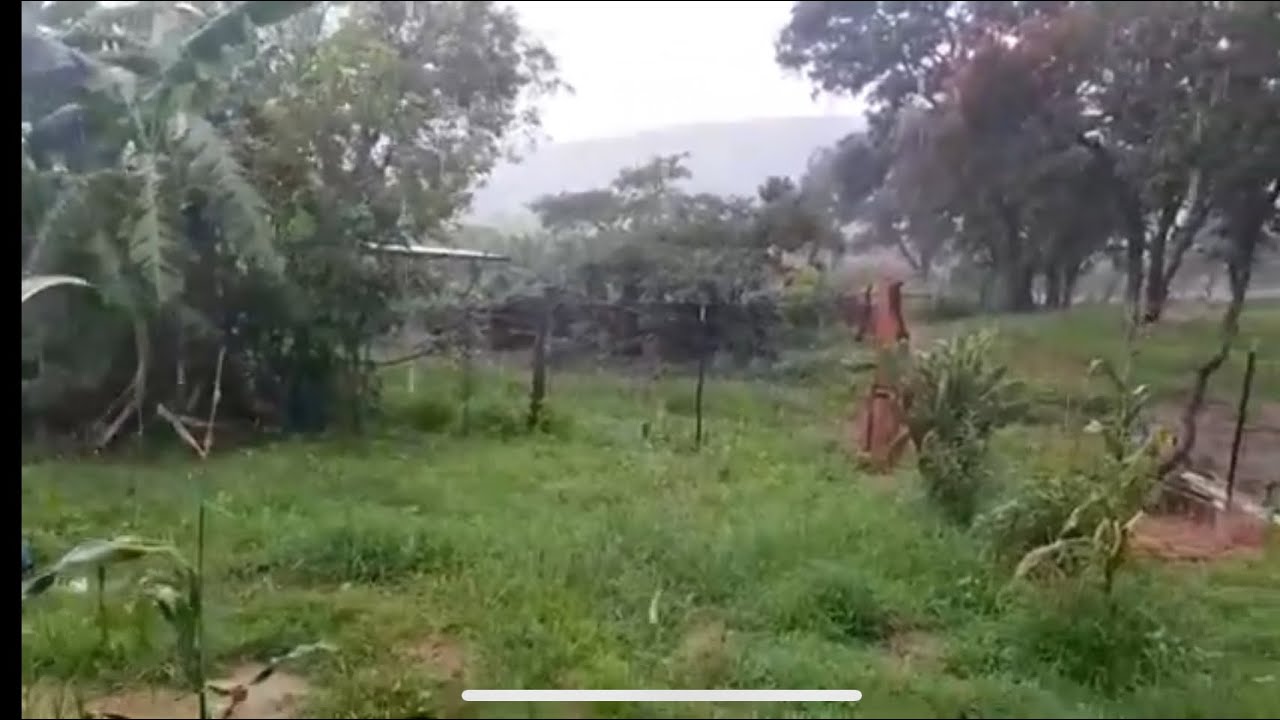 Me agarró el agua en el rancho, muy bonito que está 🌳🐄￼