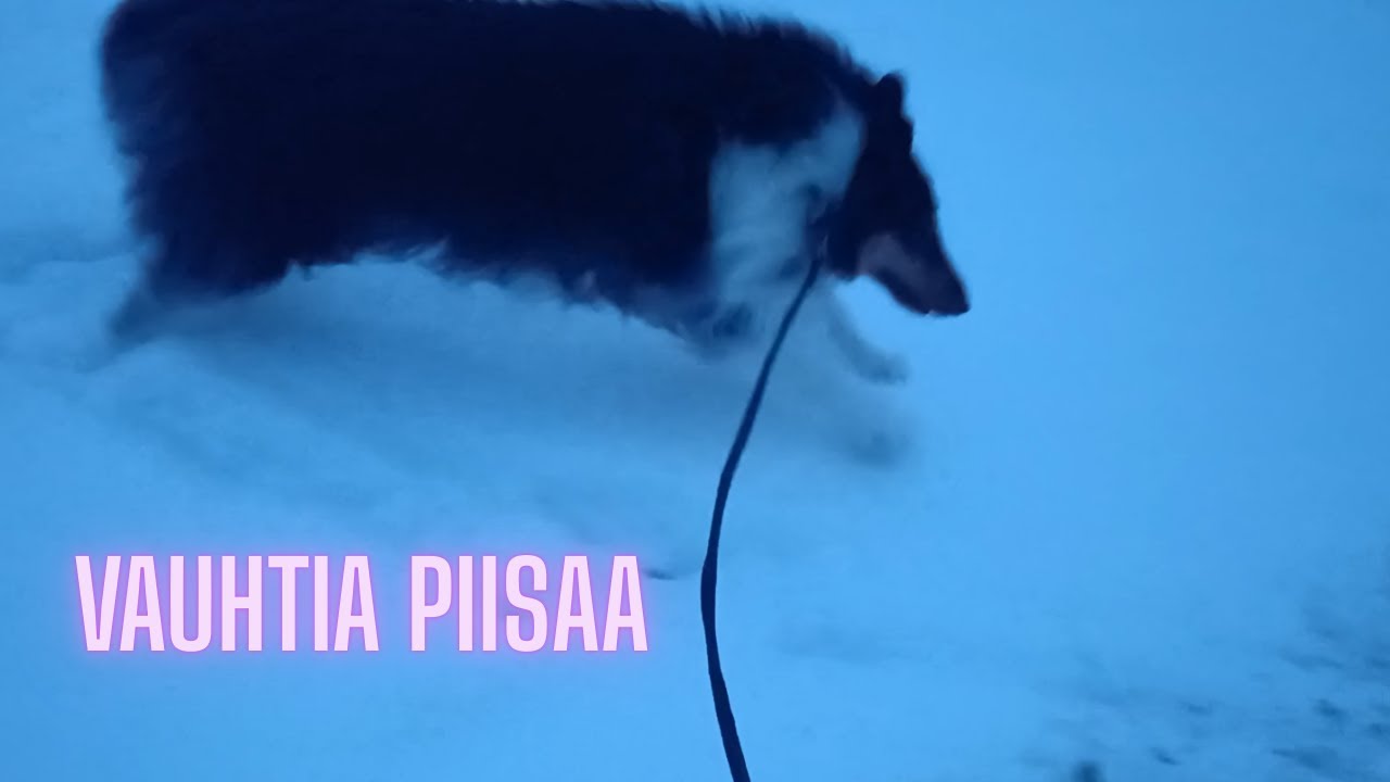 Uusi asenne ❤️