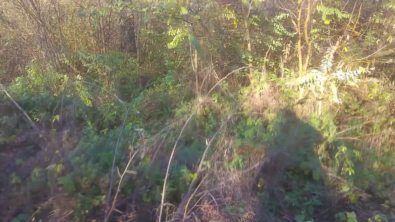 [vlog] Zajta vasútállomás bemutatása