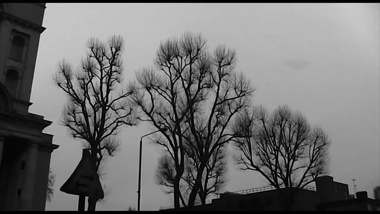 Beattie - London (Visualiser)