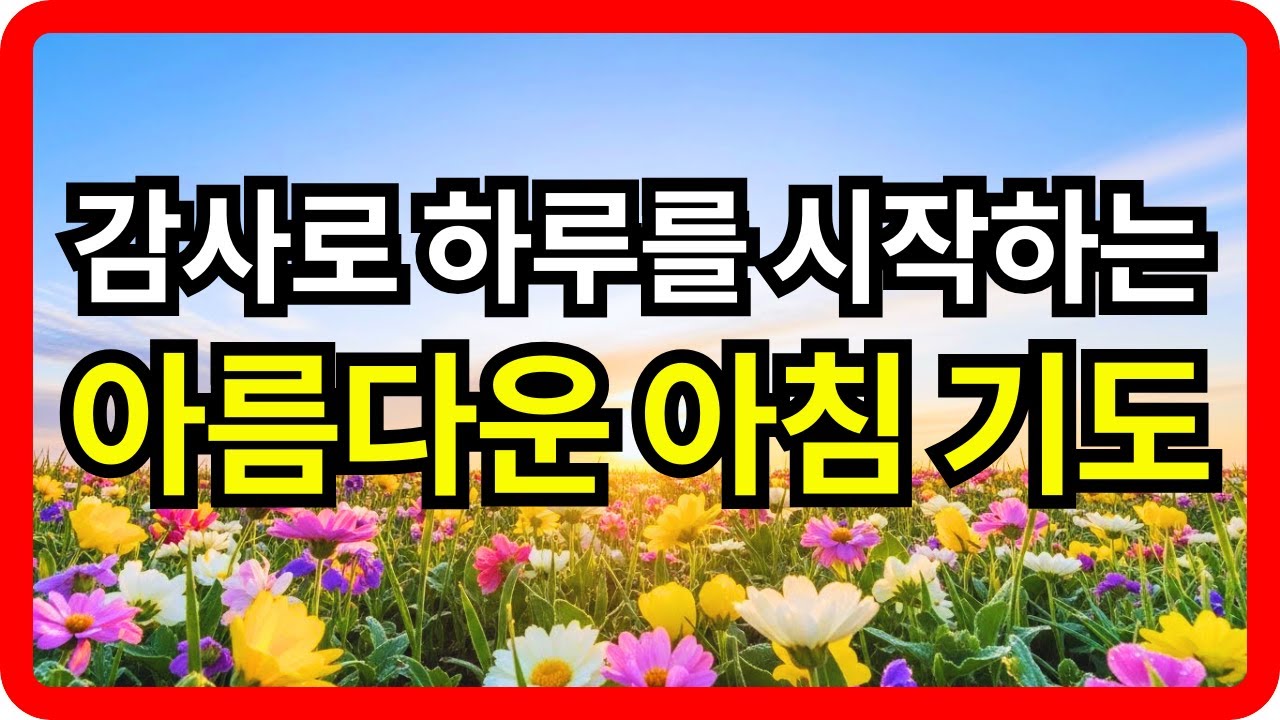 감사로 하루를 시작하는 아름다운 아침 기도  아침을 여는 감사기도  하루를 바꾸는 기도ㅣ하루를 여는 기도ㅣ아침을 여는 기도ㅣ아침시작기도ㅣ아침기도