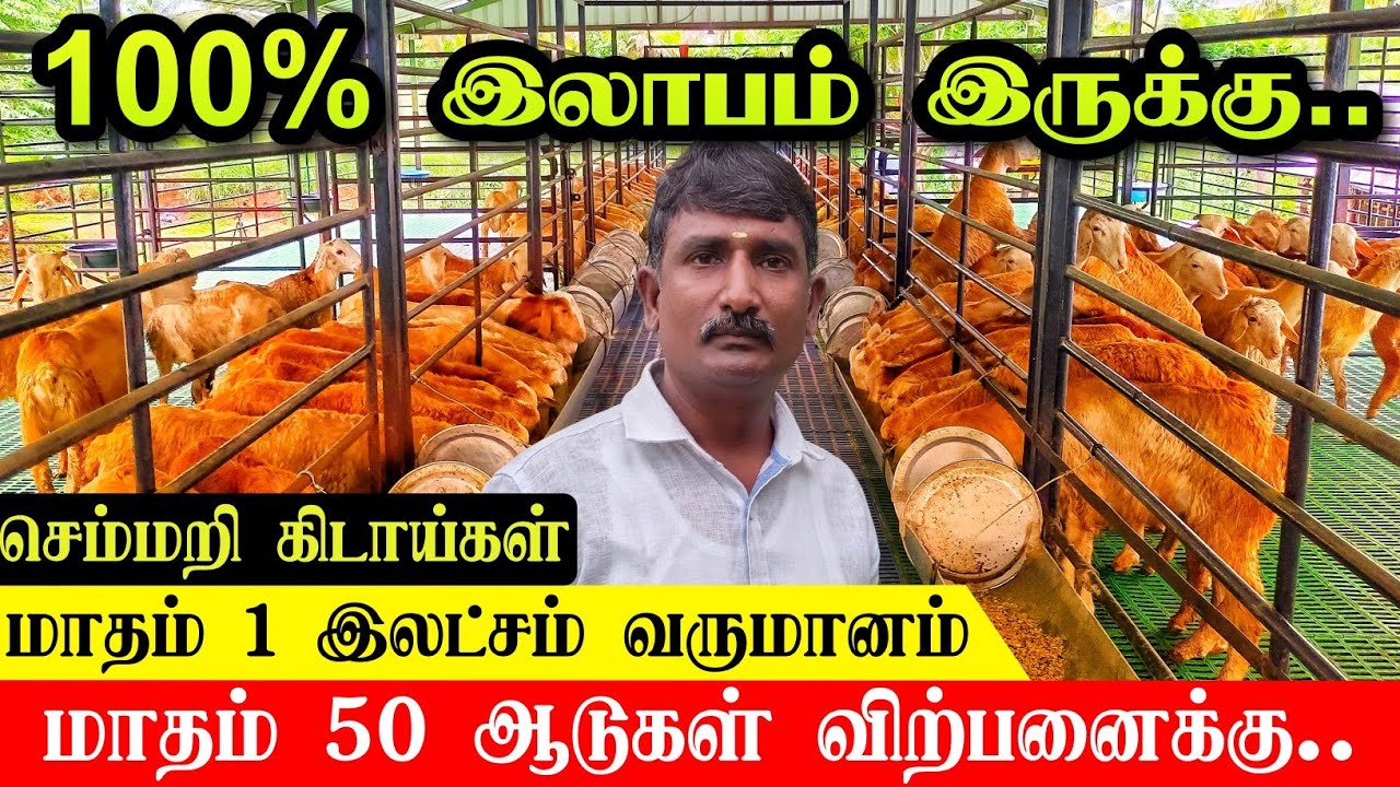 ஆட்டுப் பண்ணையில் 100% இலாபம் எடுக்கலாம் | மாதம் 1 இலட்சம் வருமானம் தரும் தொழில் | Goat Farming Idea