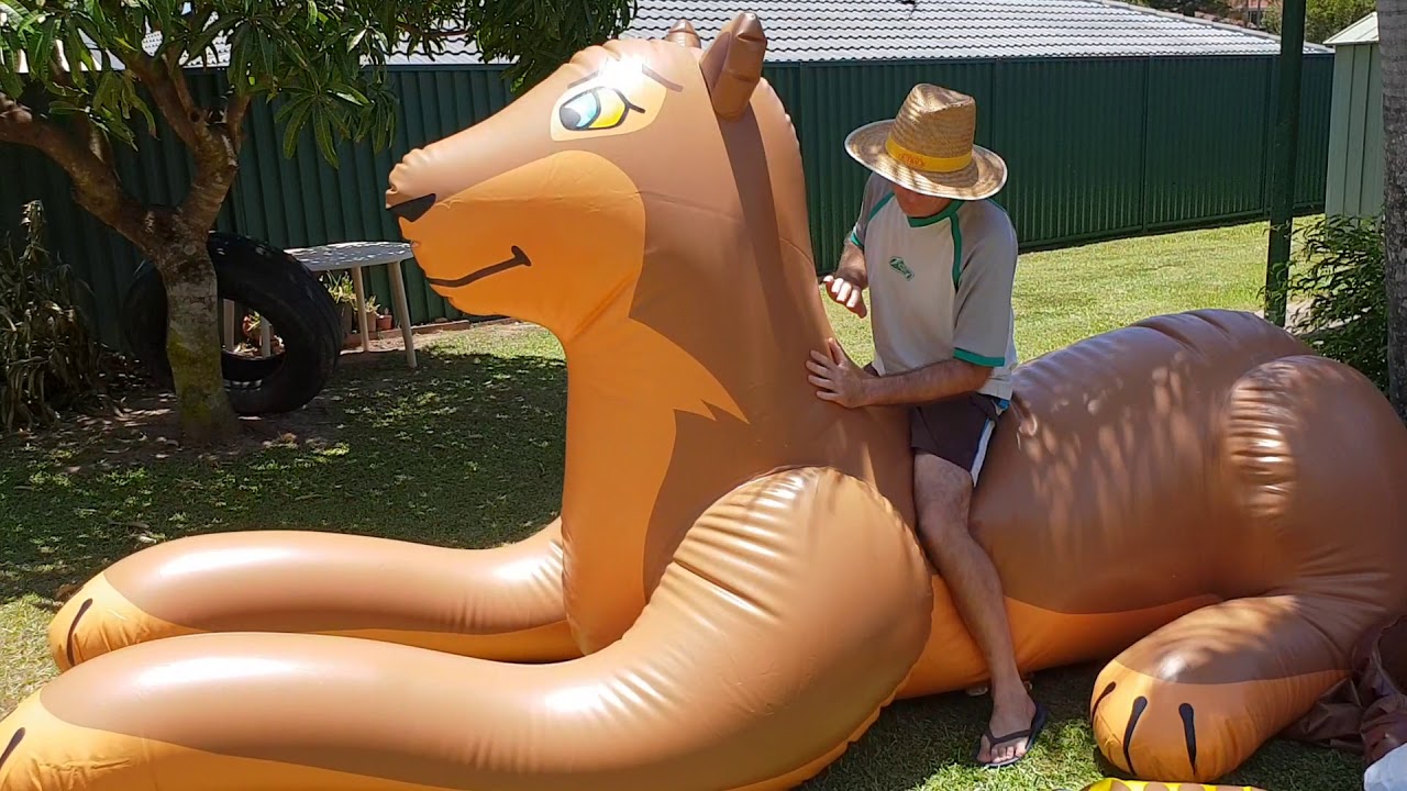 15 ft Inflatable Lioness Ride & Deflate