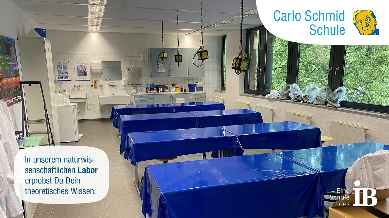 Virtueller Rundgang in der Carlo Schmid Schule Mannheim