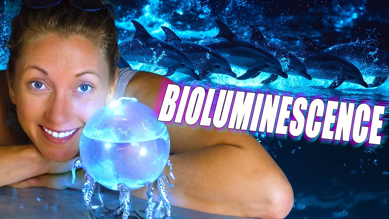 What If You Could Grow Bioluminescent Ocean Life at Home?