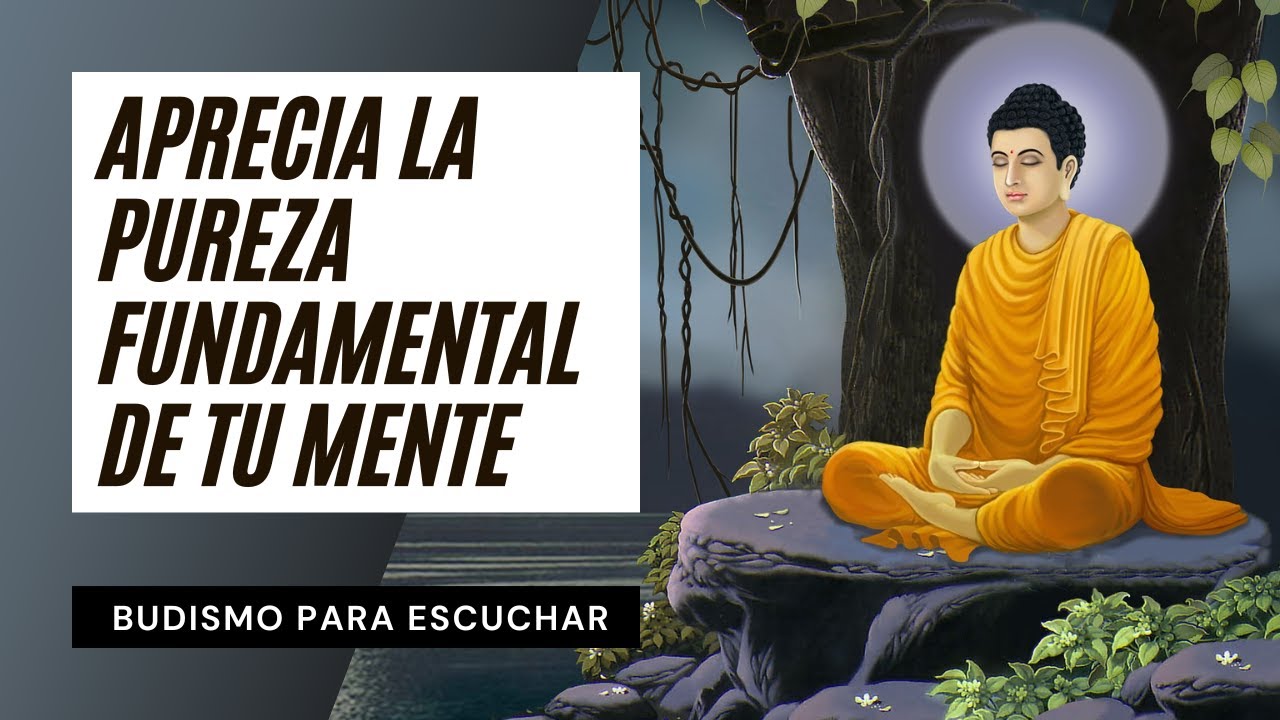Comprender la Mente Creadora de Todas las Experiencias ☸️ Perlas Budistas de Sabiduría Milenaria
