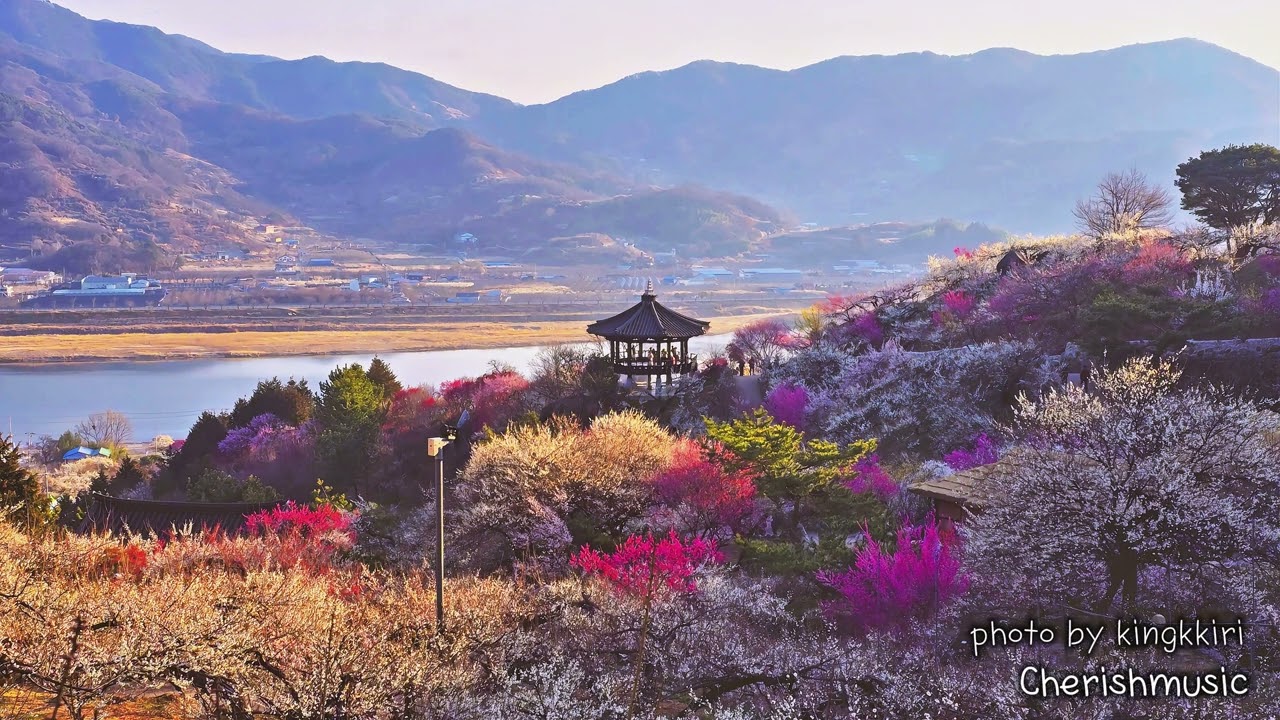 [Playlist] Relaxing Spring Jazz for Deep Healing  |  벚꽃 흩날리는 오후, 돗자리 위에 누워 듣는 상큼한 봄 재즈