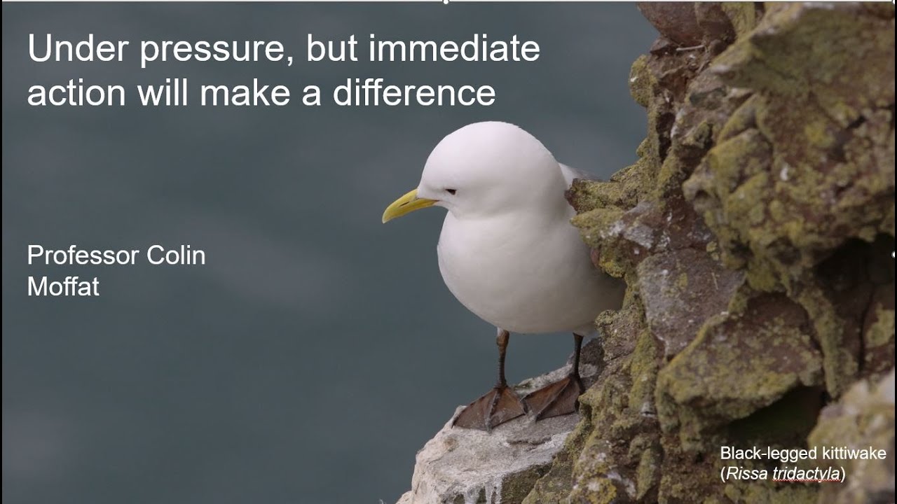 Meet the Scientist with Colin Moffat: The Future of our Oceans