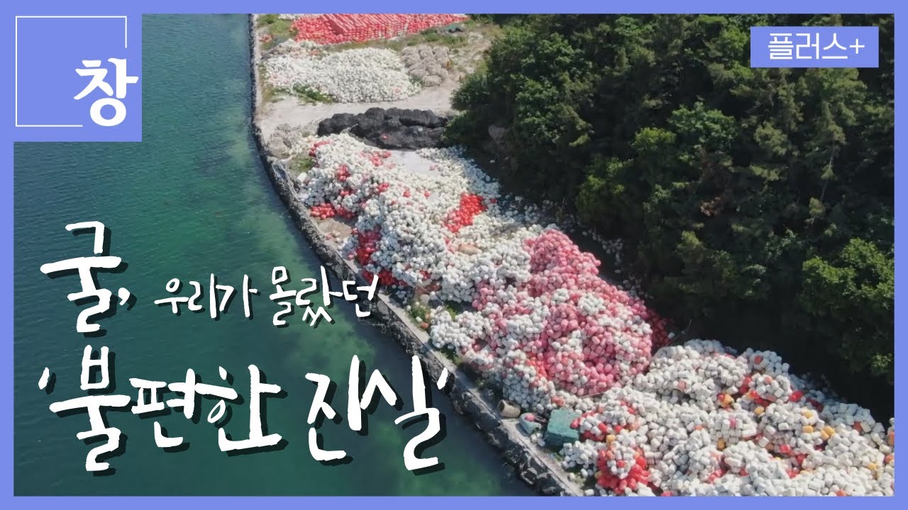 [창+]굴 양식의 그림자...우리가 몰랐던 '불편한 진실' (KBS 24.09.24)