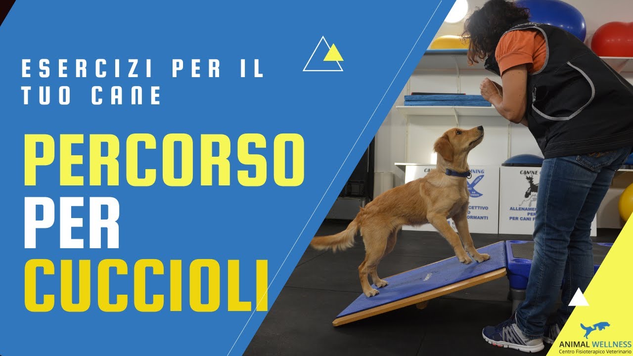 ARYA lavoro propriocettivo cucciolo
