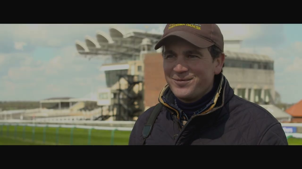 Buying Horses at Tattersalls