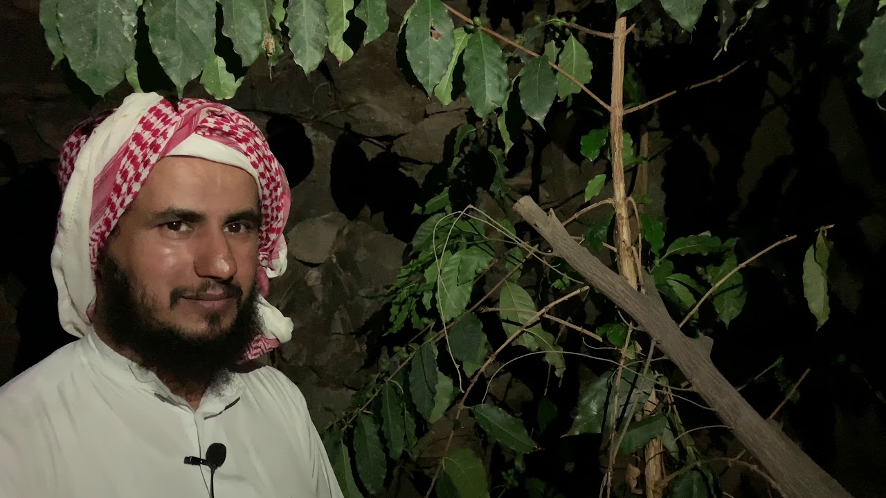 مسرى ليل صُدُر بني حدة