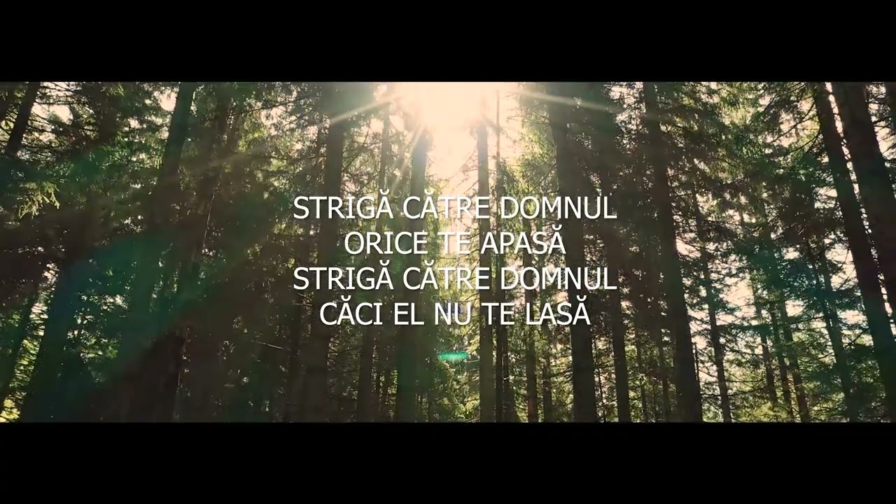 Biblioteca Crestina - Striga catre Domnul