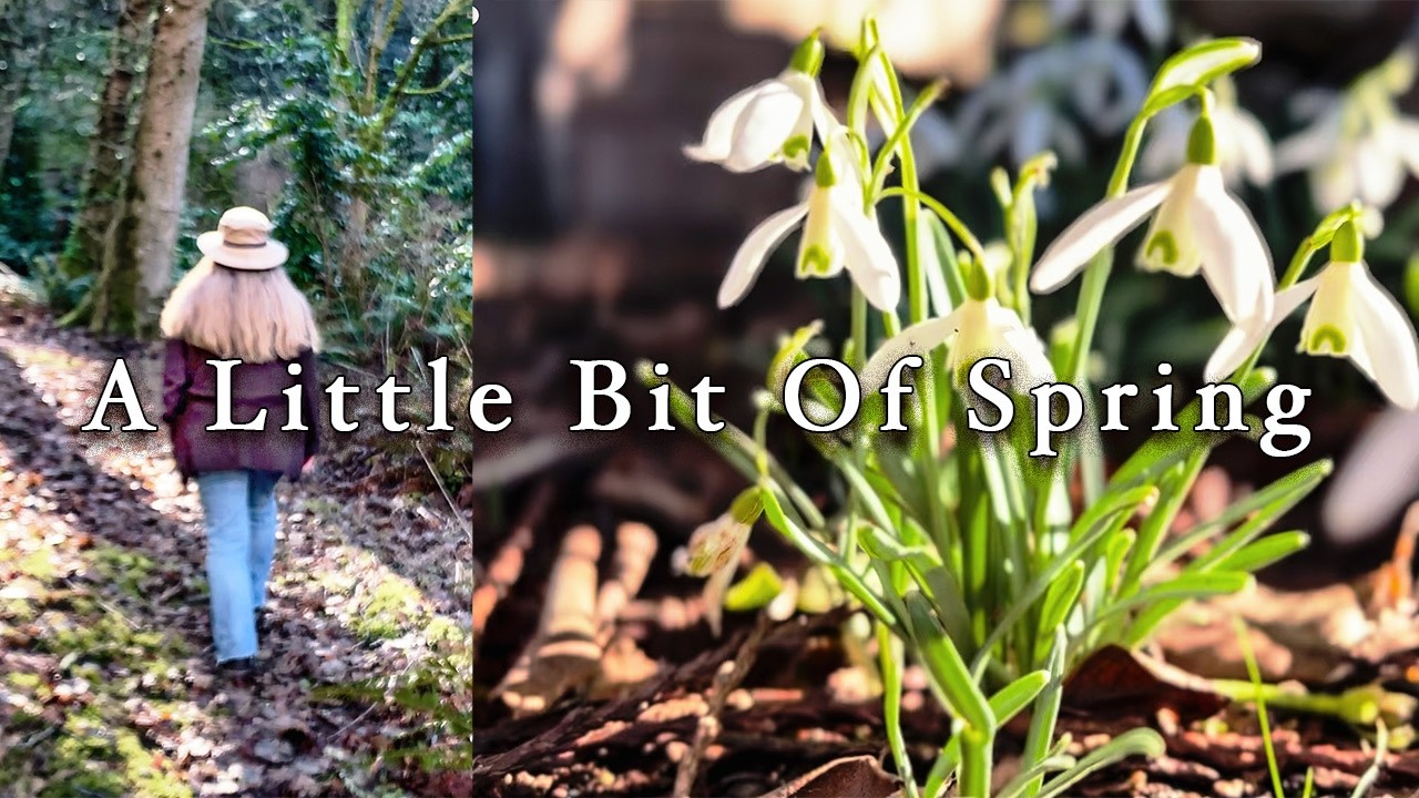 Early Spring Mood At The Beach Cabin | The Beauty Of Simple Work