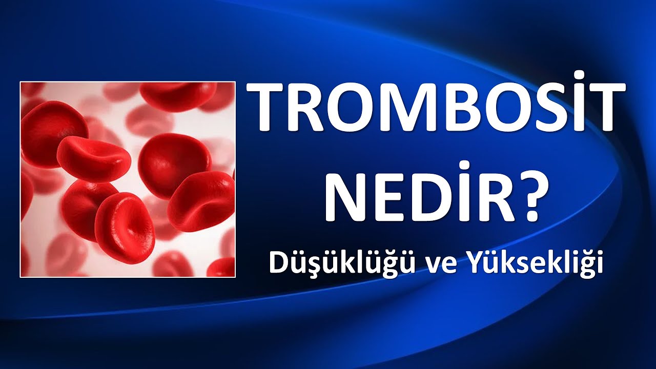 TROMBOSİT NEDİR?
