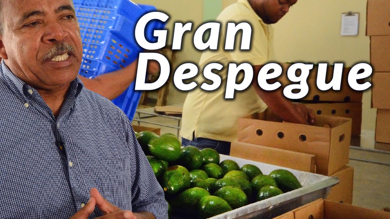 Gran Despegue