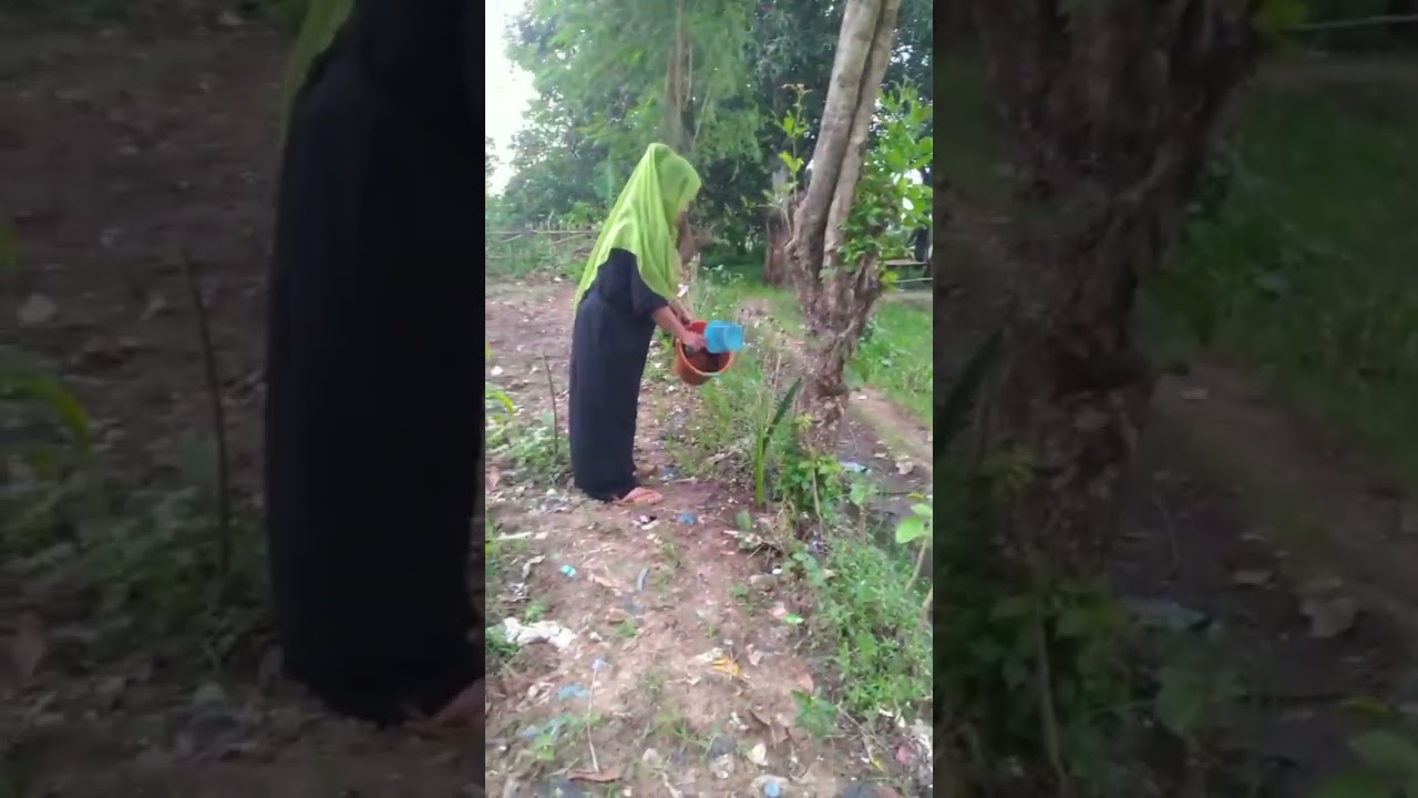 Nyiram pohon naga sorenya lanjut bikin es cingcaw parut