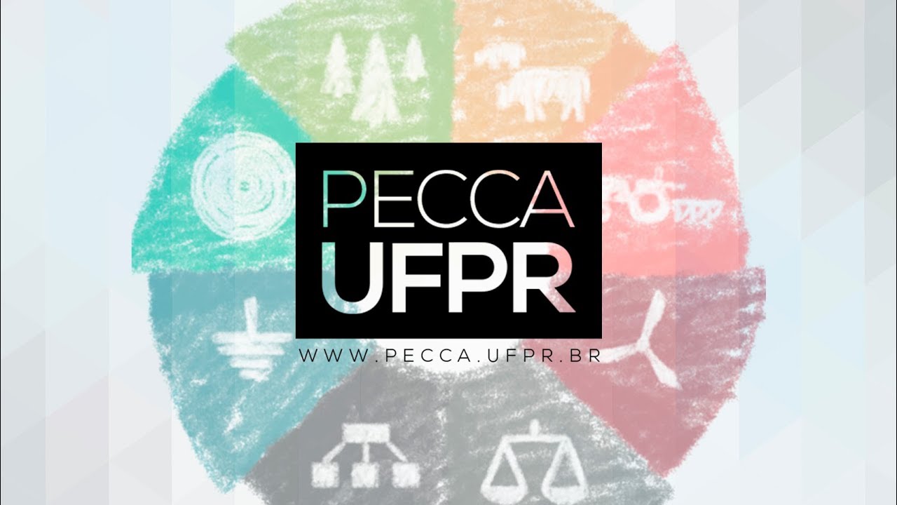 PECCA NEWS - Prof&ordm; Rafael Bonatto