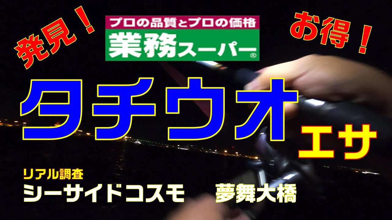 【必見】業務スーパーで発見！！安い・多い・釣れる　タチウオのエサはコレだ！　＆リアル調査　シーサイドコスモ・夢舞大橋