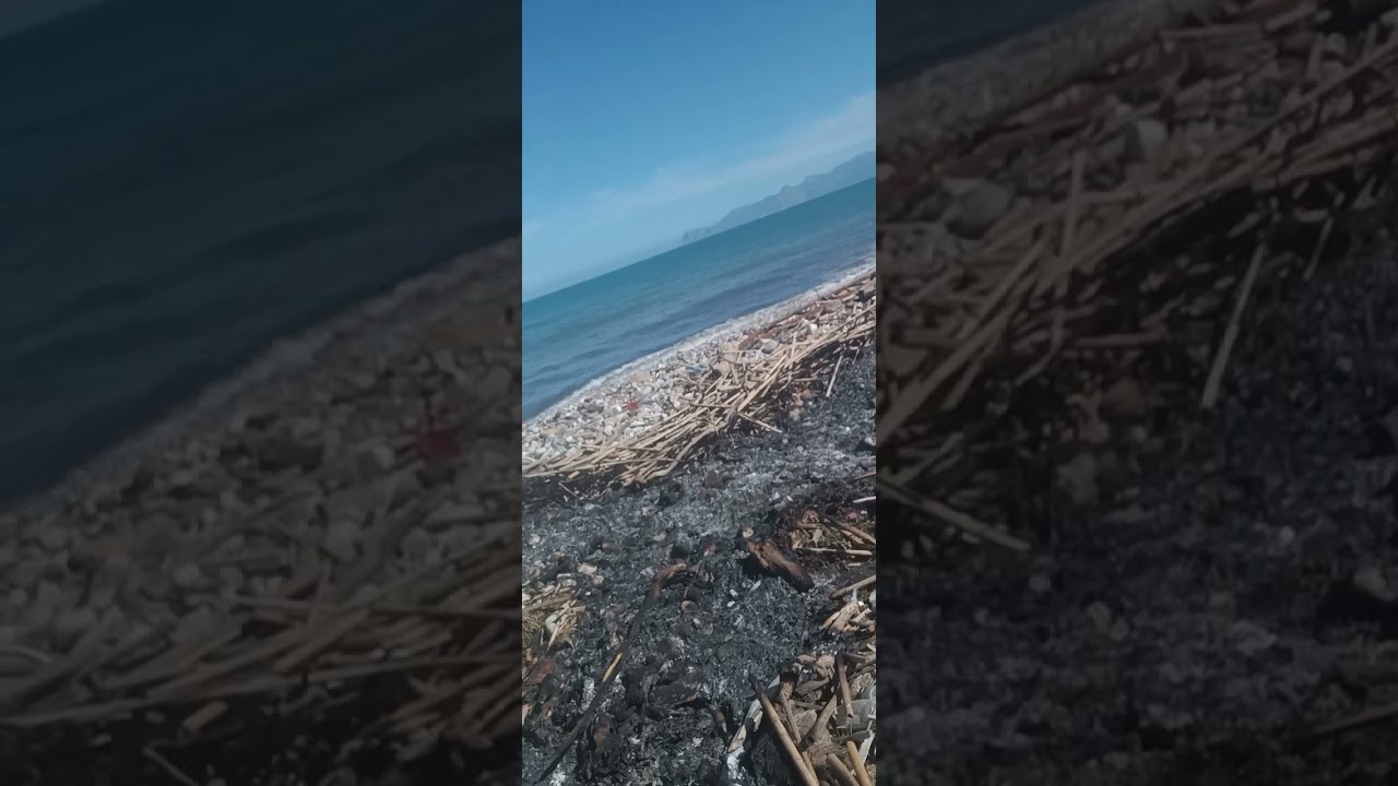 Ecologia: Un sopralluogo informale presso la Baia di San Cataldo, 23 febbraio 2026