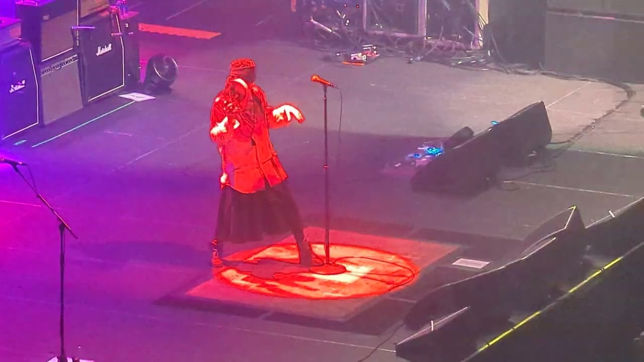 The Cult -  Wild Flower - Live in Melbourne 2024