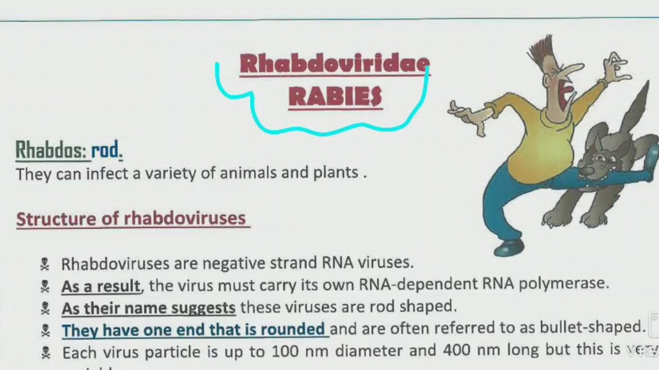 4- CNS Module ( Microbiology ) 《 الجهاز العصبي 》2022 للدكتور احمد عصام