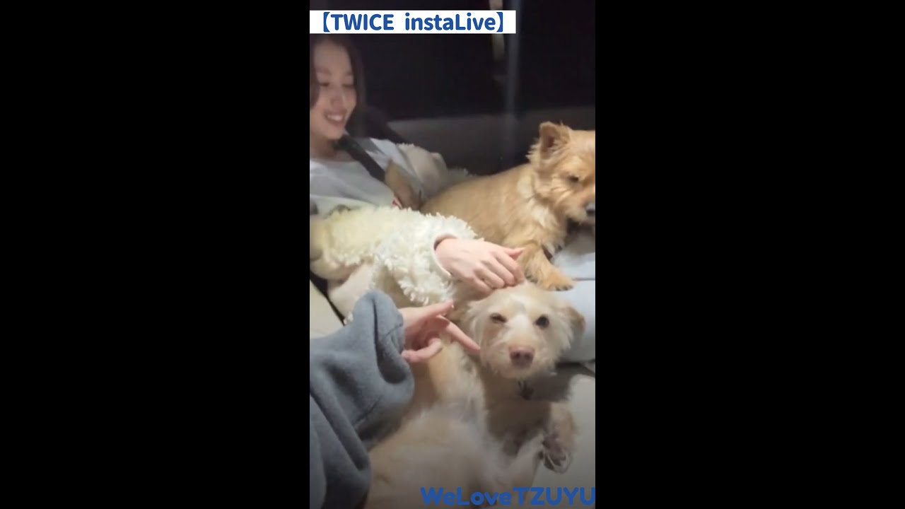 【MOMO SANA LIVE】Instagram Live 250215