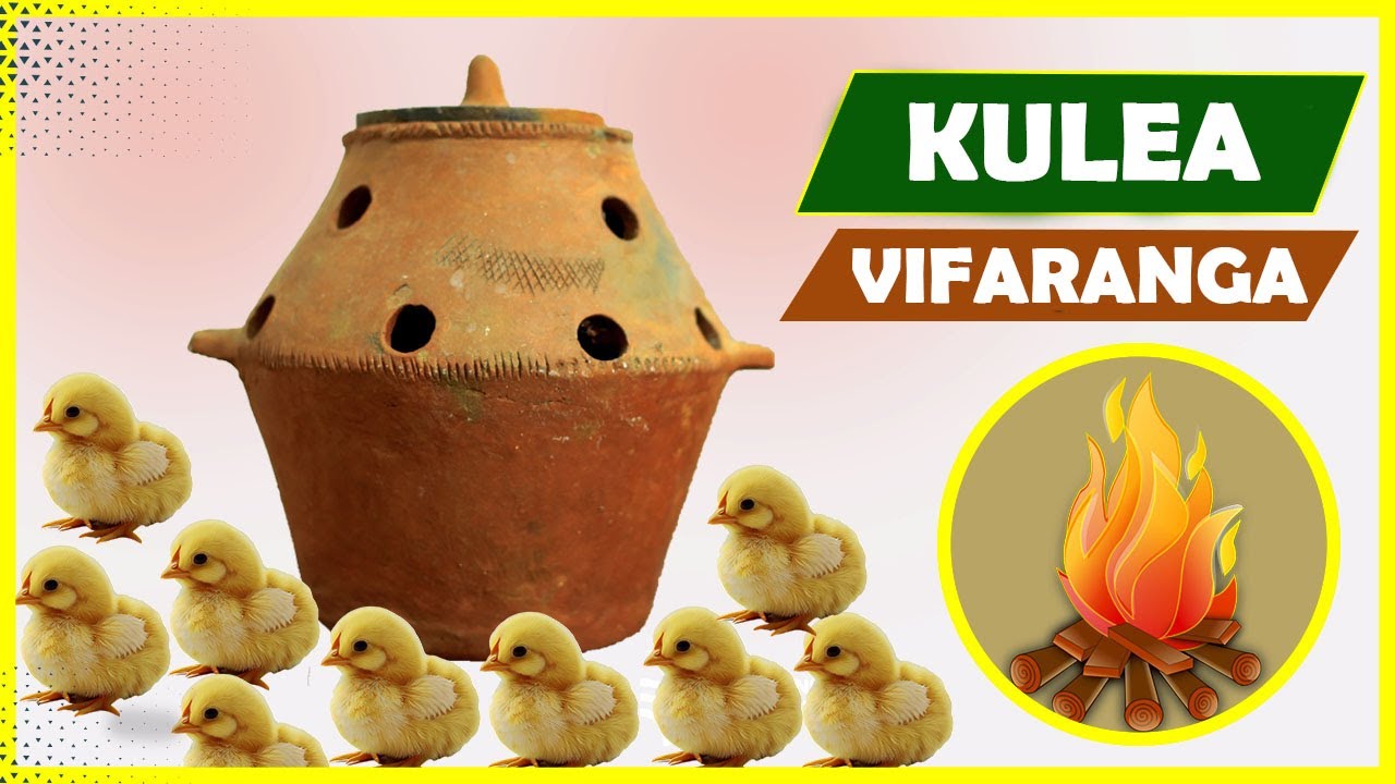 KULEA VIFARANGA EPUKA CHANGAMOTO HIZI NA VIFO KWA VIFARANGA 