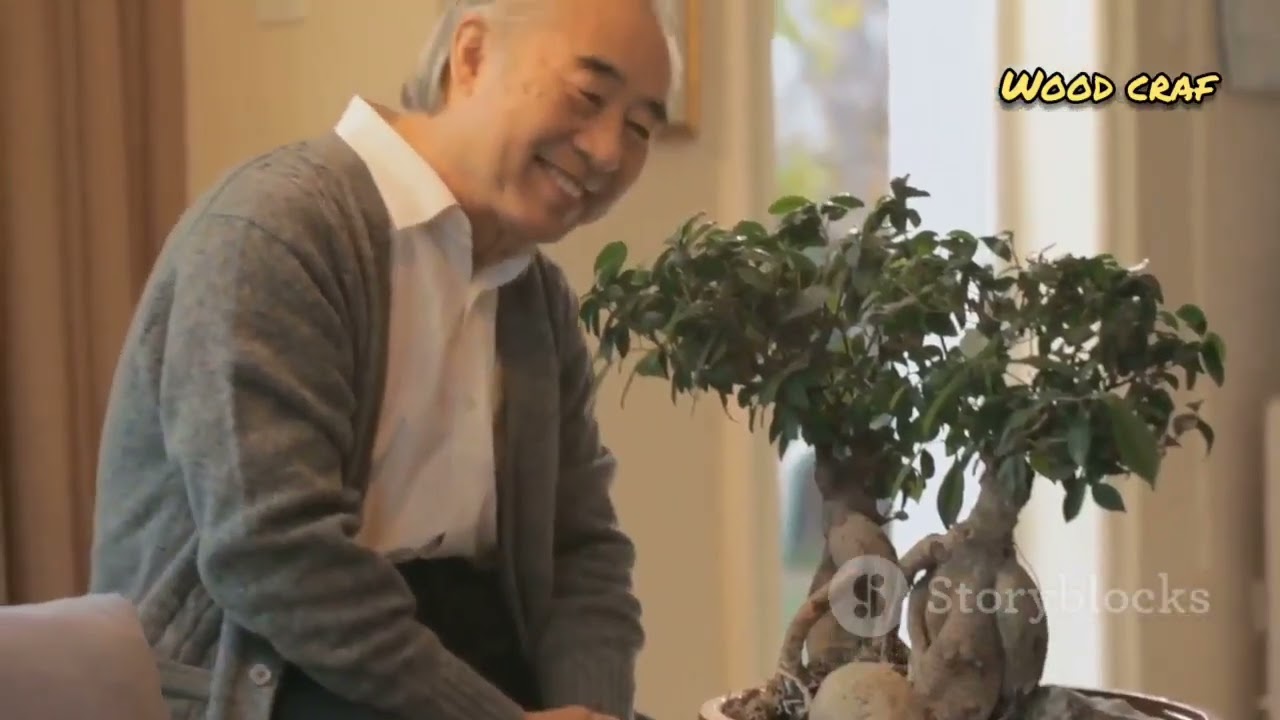 El fascinante origen del bonsai: historia y proposito